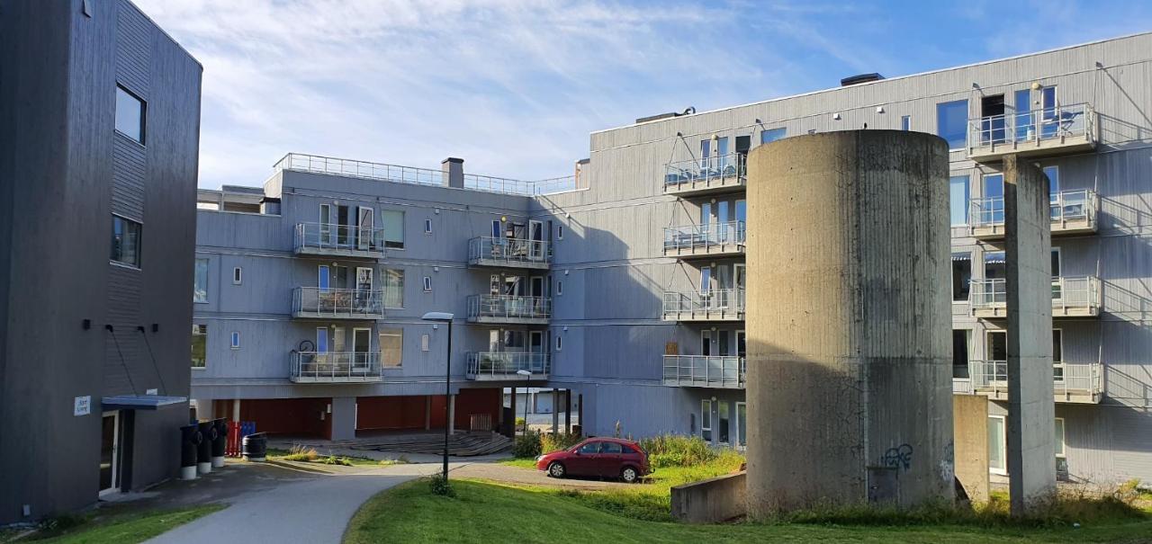 Northern Dreams Apartment With Free Parking Tromso Exterior photo